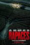 Vultures (2025) Sub Vultures (2025) Sub