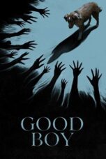 Good Boy (2025) Sub